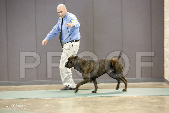 _JN_2184-BeltonJan2015-HR3