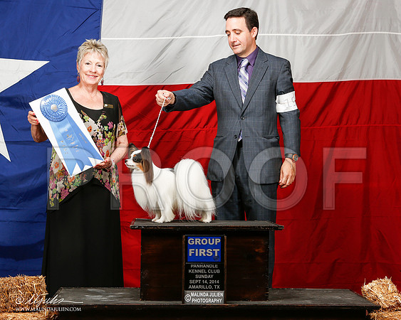 _ST_2038-2-AmarilloSep2014-HR3