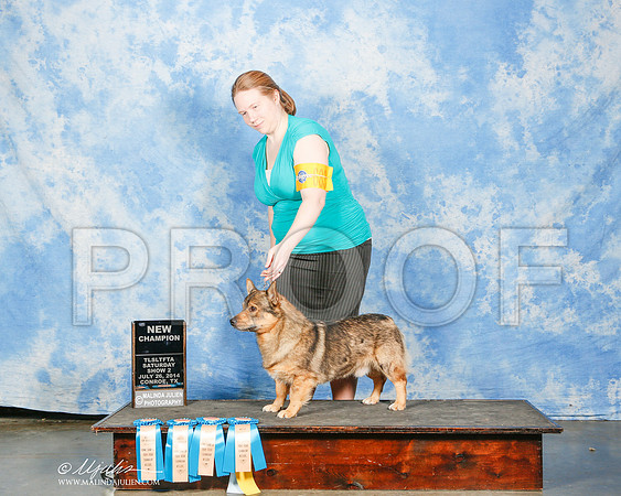 _ST_9899-2-CnroeJul2014-HR3