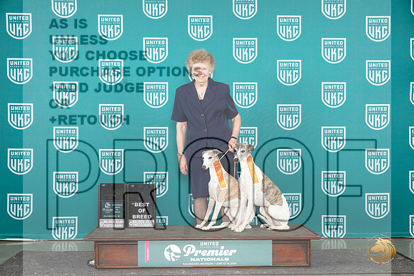 Whippets #69 86 card__JP_3254_Premier_2024_HR3