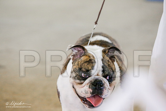 _RH_0018-AlamogordoOct2014-HR3