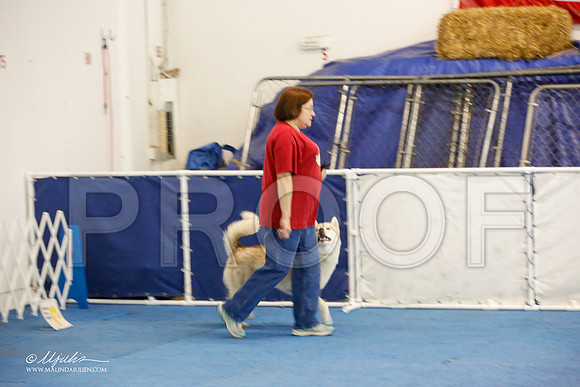 _M3_8080-AddisonHuskyMar2015-HR3