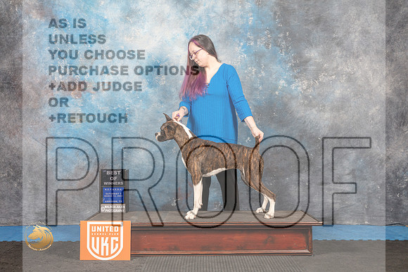 Boxer #107 Sat1 BOW Judge Pam Moore_MMJ_6238_Addison2022_HR3