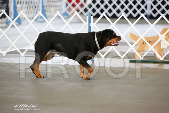_JN_8252-DallasJul2014-HR3