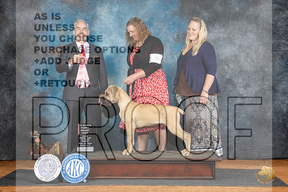 Boerbel #9 Fri PG1 Judge Dale Martensen__JP_7139_MARSHALL_2024_HR3