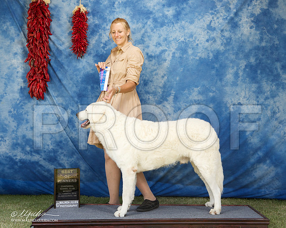 _ST_3757-AlamogordoOct2014-HR3