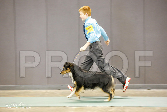 _JN_1406-BeltonJan2015-HR3