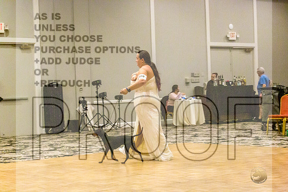 Manchester Terrier MTOY Candids-JJL_2013-Hstn2022_HR3