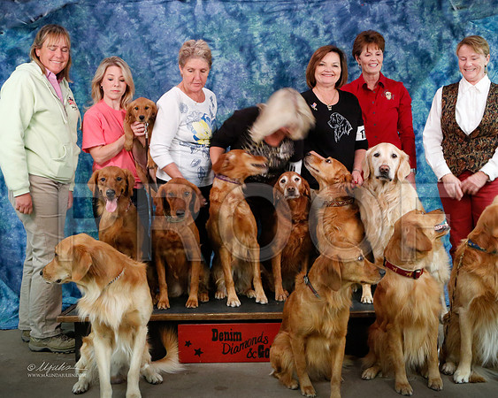 Group-4485-WFOct2013-HR