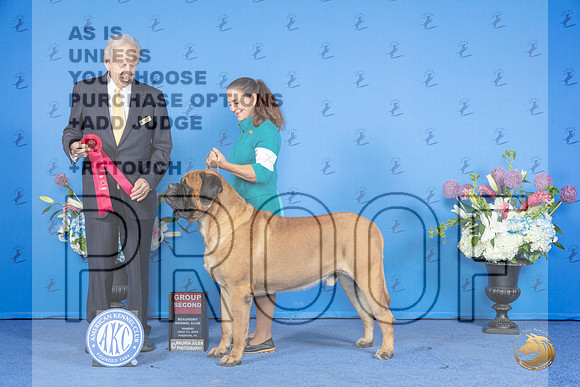 Mastiff #7 SUN G2 Judge James Moses__JP_0837_Houston_2024_HR3