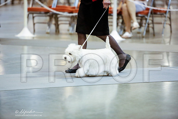 _JN_0013-HstnJul2014-HR3