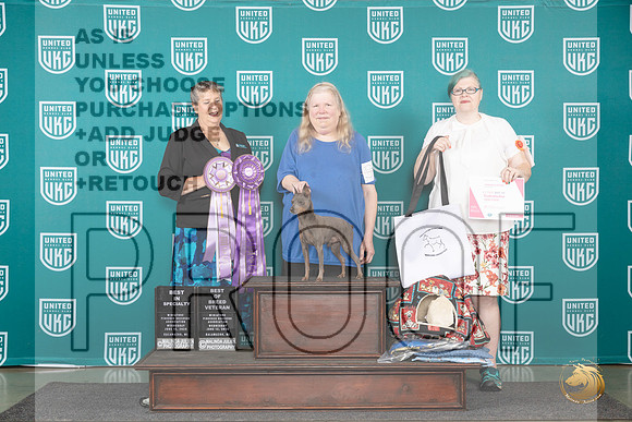 Miniature Pinscher #121 Wed CH Judge Denise Vavla__JP_0346_Premier_2024_HR3