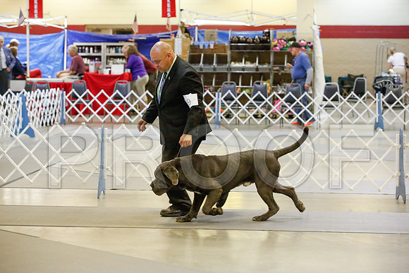 _JJ_1816-AmarilloSept2014-HR3