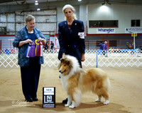 Collie Rough #34 Fri S1 New Champion Marie Markovich Laurie Jeff Greer Judge R Veatch
