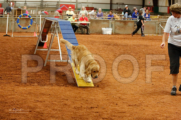 StdNov24-8190-WFOct2013-HR