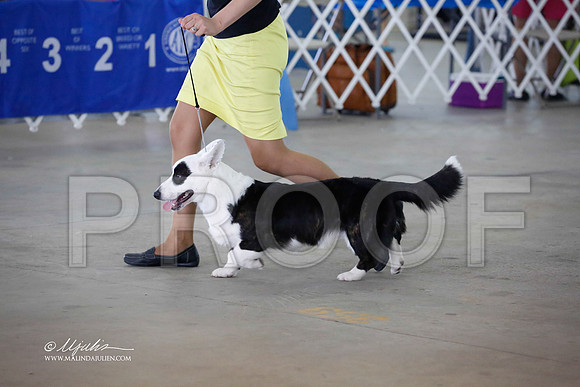 CorgCW-5288-CantonOct13-HR