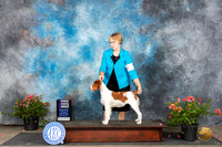 Brittany #22 Sun WB Judge Victor Rosado