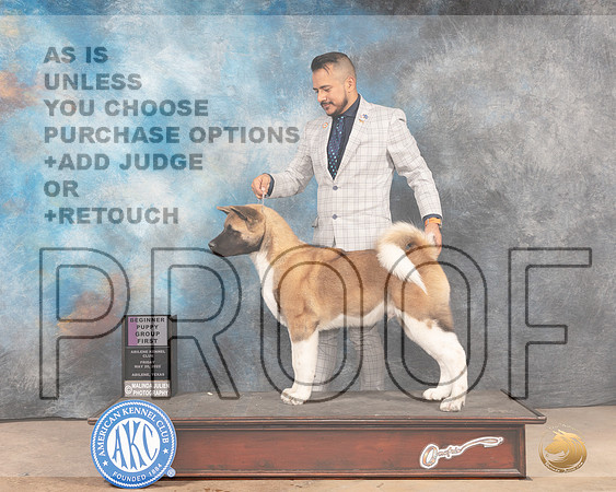Akita #9 Sun PBOBPG1 Judge Thomson Stanfield Jr-MMJ_5054-Abilene2022-HR3