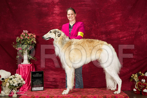 _ST_2555-BeltonJan2015IABCA-HR3
