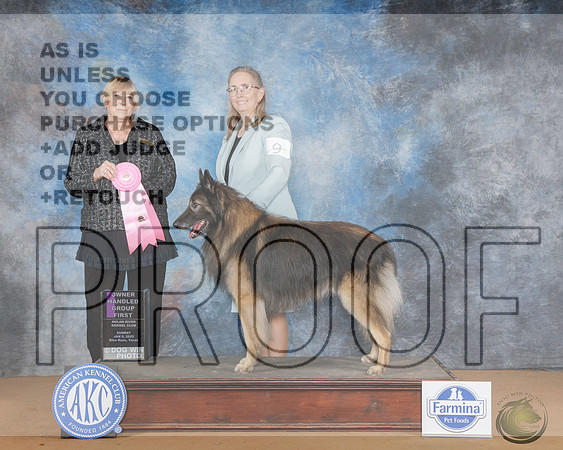 Belgian Tevuren #9 Sun OHG1 Judge Kathleen CarterBelgian Tevuren #9 Sun OHG1 Judge Kathleen Carter_WP_1379e-NRKC2025-HR3