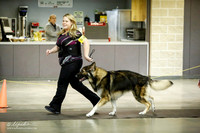 Shiloh Shepherd Ring Sat
