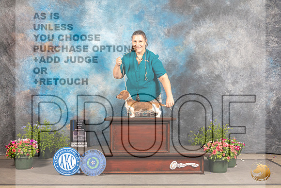 Dachshund Wire Haired #22 Fri WB Judge Debra Thornton_MJ_0006_SA_2022_HR3