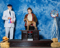 Italian Greyhounds #8 Sun BOS Short Susan J William R L Smith Judge Dr Dale D Simmons