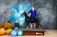Doberman Pinscher #9 Sun G4 Judge Donnelle Richards