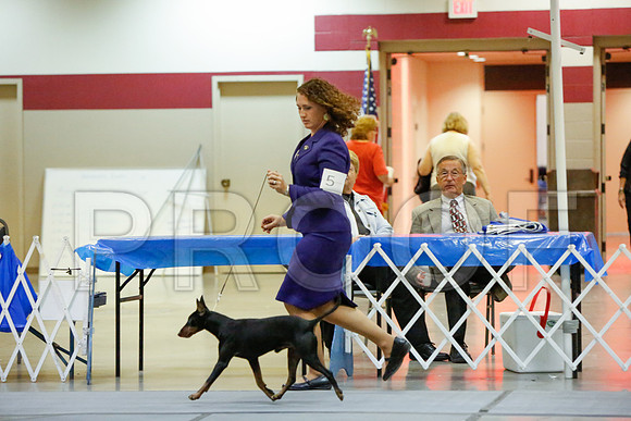 _JN_4848-AmarilloSept2014-HR3