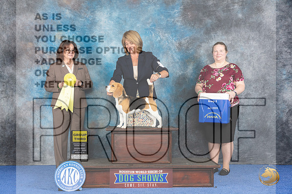 Beagle 13 #12 WED G3 Judge Barbara Scherer__JP_7213_Houston_2024_HR3