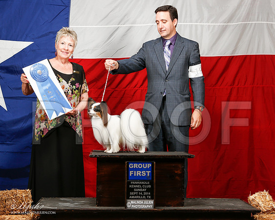 _ST_2039-2-AmarilloSep2014-HR3