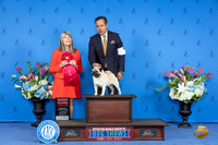 Pug #5 THUR G2 Judge Angela Pickett