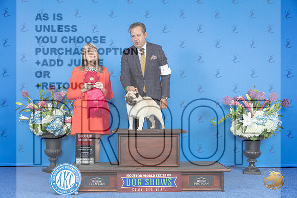 Pug #5 THUR G2 Judge Angela Pickett__JP_8535_Houston_2024_HR3