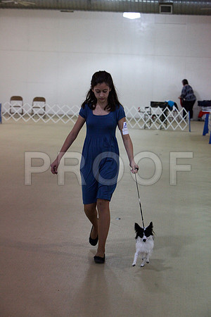 IMG_0051