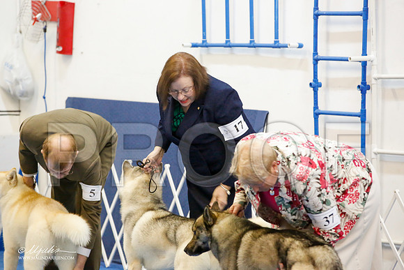 _M3_9757-AddisonHuskyMar2015-HR3