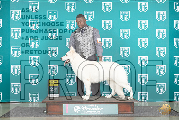 White Shepherd #681 Fri G4 Judge Stan Matsumoto__JP_1855_Premier_2024_HR3