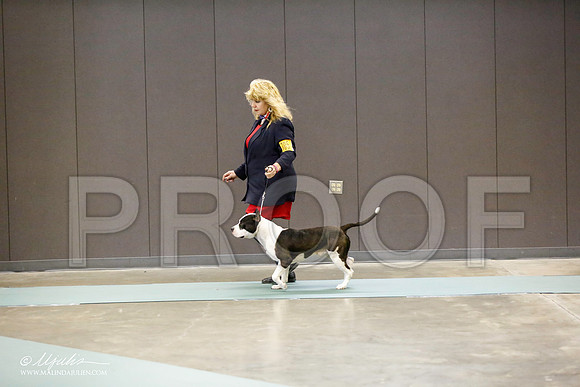 _RH_0367-BeltonJan2015-HR3