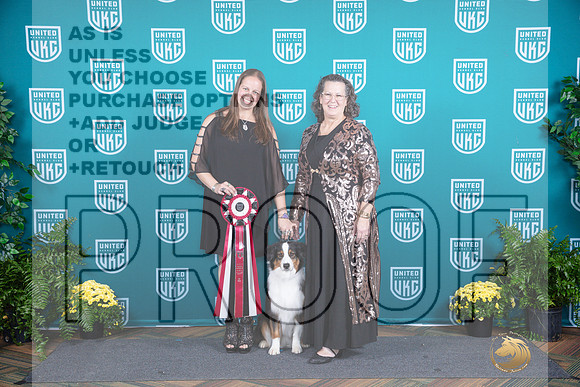 Australian Shepherd TD__JP_2898_UKCTDI2024_HR3