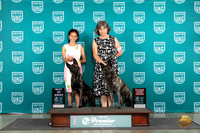 Dutch Shepherds #500 AG2 #193 BOB Judge Stan Matsumoto