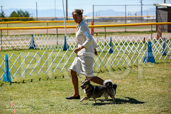 _JN_4907-AlamogordoOct2014-HR3