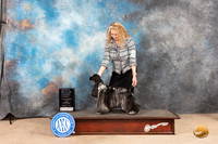 Cocker Spaniel Parti #6 Sun OHG1 Judge Gloria Kerr