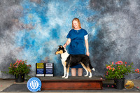Collie Smooth #6 Sun G3CH Judge Wendy G Willhauck