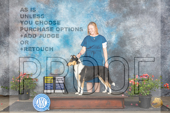 Collie Smooth #6 Sun G3CH Judge Wendy G Willhauck__JP_6287_San Antonio_2024_HR3