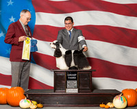 Spaniels Cocker Parti #5 Sat G3 Bowen Linda Tim Bowen Judge Mr Laurence J Libeu