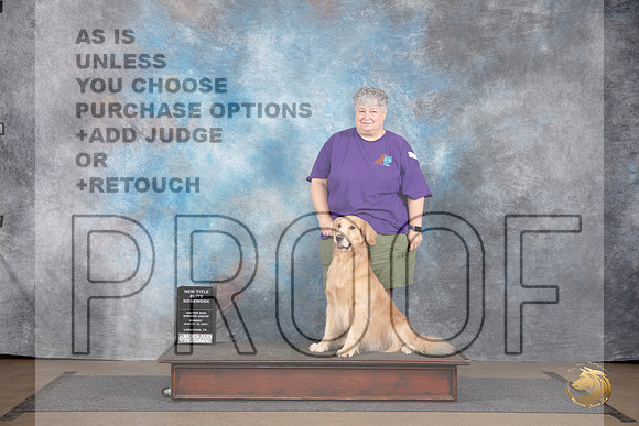 Golden Retriever #616 Sun New Title Elite Judge Peter Betchly__JP_2962_LongviewTX_2024_HR3