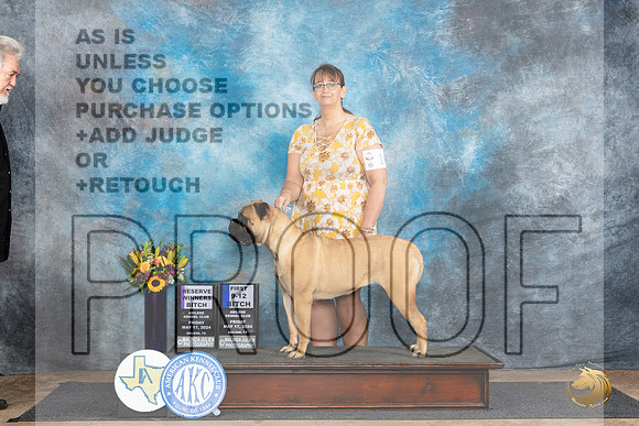 Bullmastiff #10 Fri RWB1 Judge Rick Gschwender__JP_9161_Abilene_2024_HR3