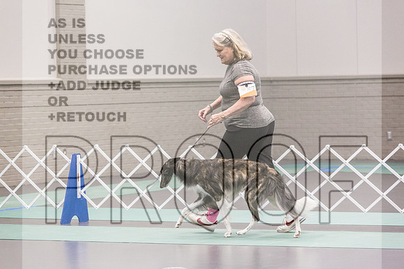 Silken Windhound Ring FRi Ring 1_JJL_5172_UKCLNGVIEWOCT2024_2024_HR3