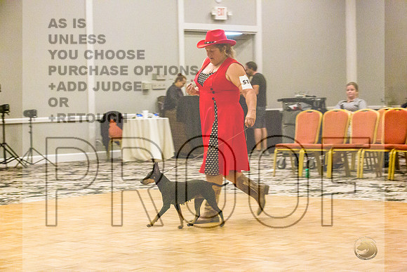 Manchester Terrier MTOY Candids-JJL_2282-Hstn2022_HR3