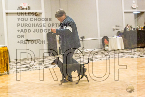 Manchester Terrier MTOY Candids-JJL_2266-Hstn2022_HR3