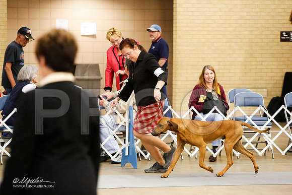 _JJ_8481-FWKCMar2015-HR3
